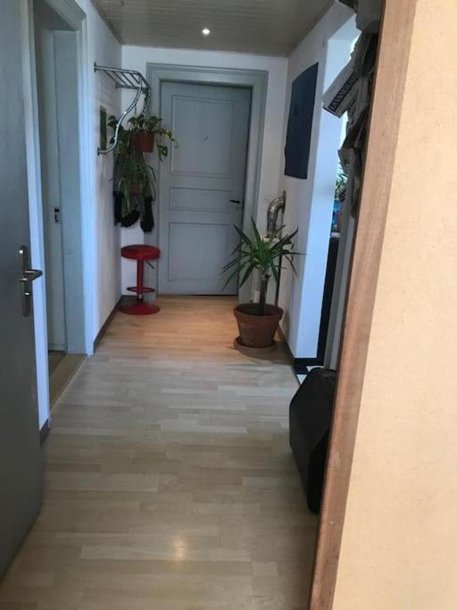 Apartment Einfache 15 Min Vom Bahnhof St. Gallen